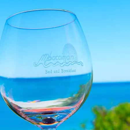 Mbaccimari Oda ve Kahvaltı Cetraro