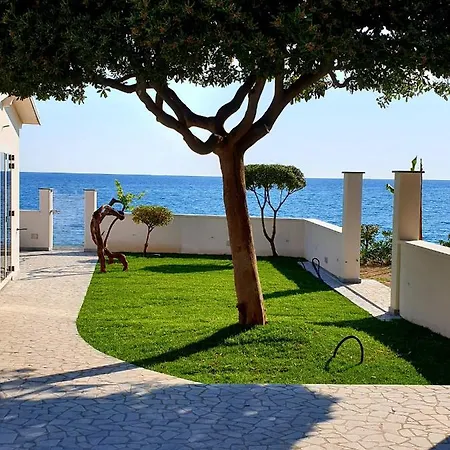 Mbaccimari 4*
